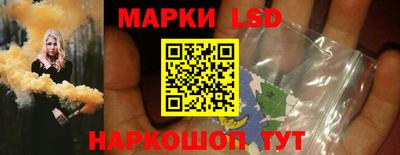 шишки Бийск