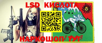 шишки Бийск