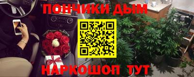 шишки Бийск