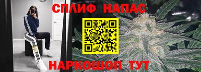 шишки Бийск
