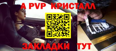 шишки Бийск
