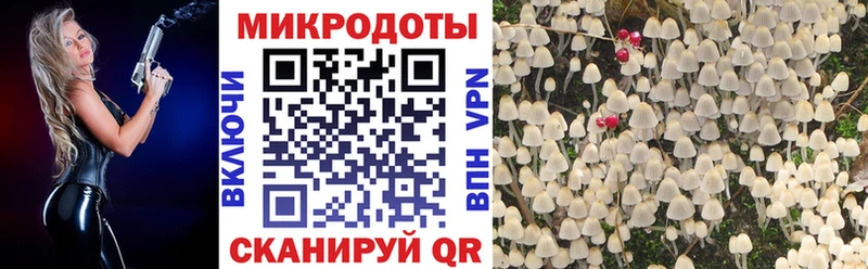 мориарти наркотические препараты  Джанкой  Галлюциногенные грибы Psilocybine cubensis  что такое наркотик 